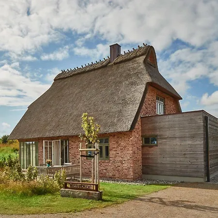 Reetdorf Geltinger Birk Kuenstlerkate Wasserspecht Dom wakacyjny *